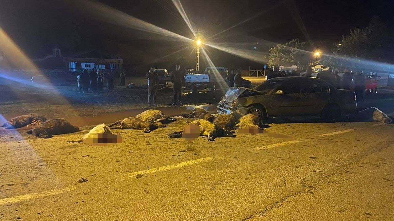 Erzincan'da Trafik Kazası: 17 Koyun Telef Oldu, 6 Yaralı