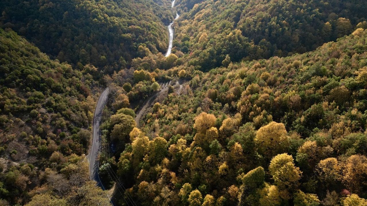 Ganos Dağı Eteklerinde Sonbahar Renkleri