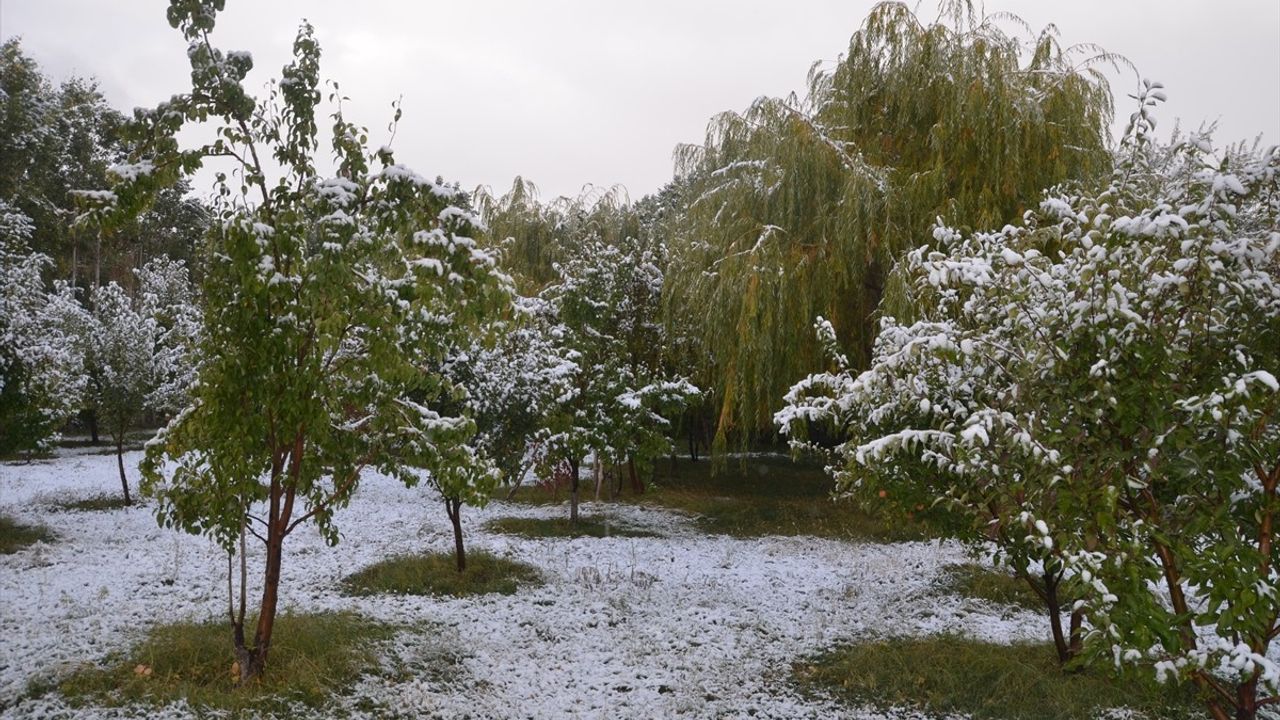 Hakkari'de Kar Yağışı Hayatı Olumsuz Etkiledi