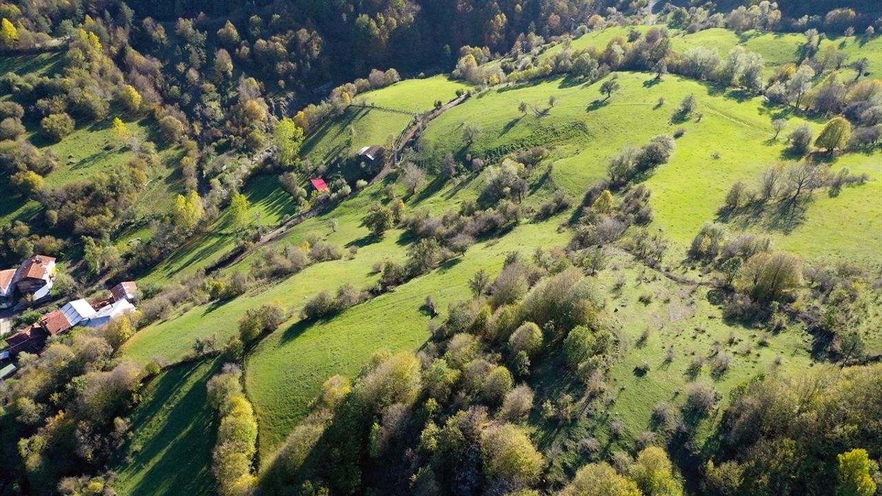 Ilgaz Dağı'nda Kış ve Sonbahar Buluşması