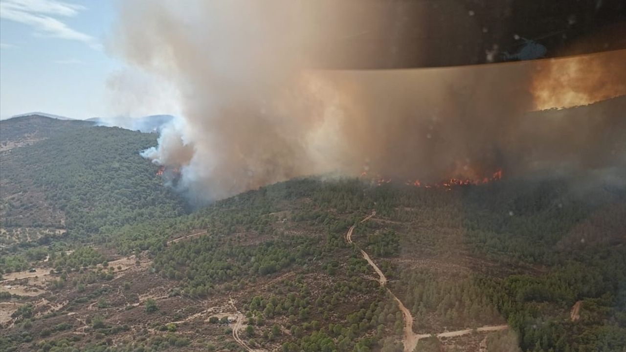 İzmir'de Çöplük Yangını Ormana Sıçradı: Müdahale Başladı