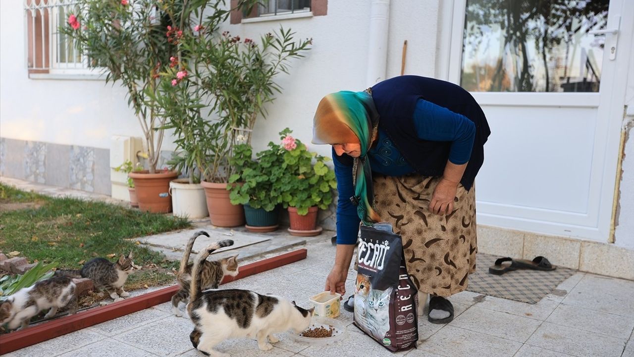 Kayseri'de Yaşlı Kadının Kedilerine Mama Desteği