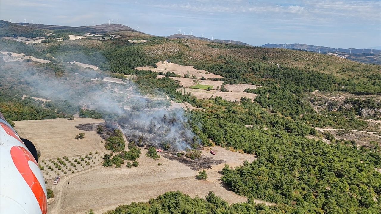 Kırkağaç'ta Tarladan Ormana Sıçrayan Yangına Müdahale Ediliyor