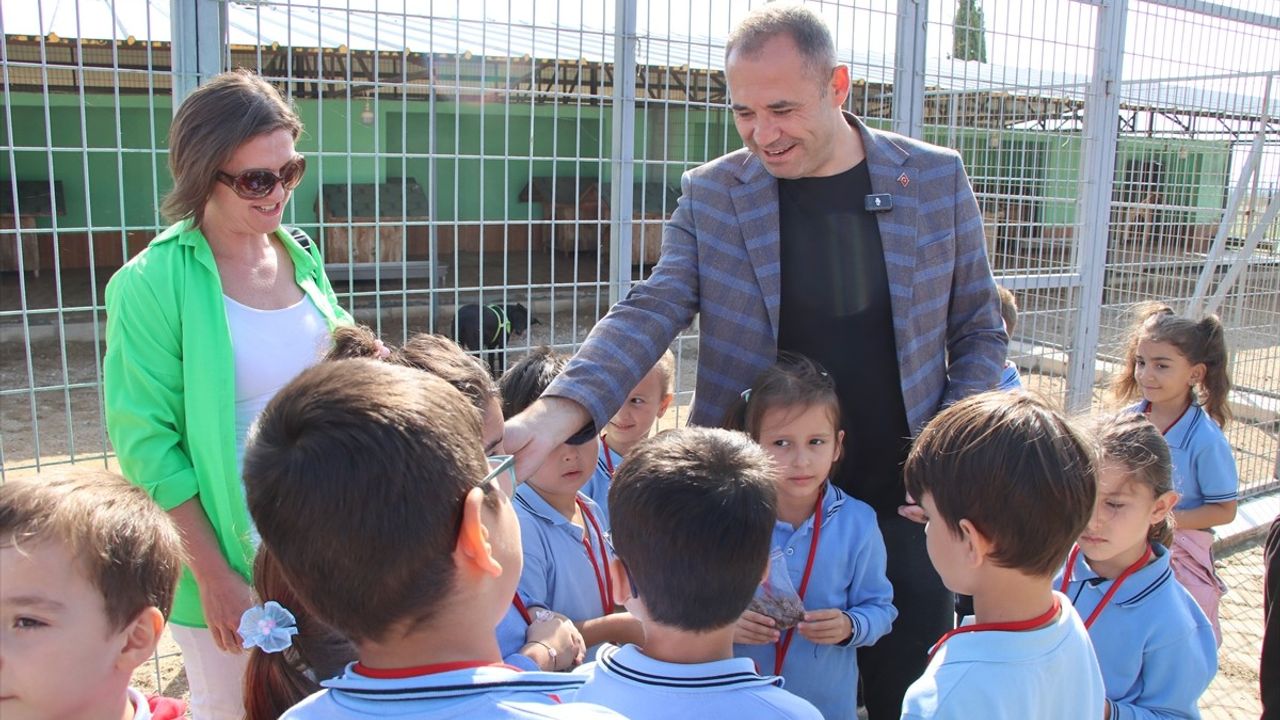 Kırklareli'de Hayvanseverlere Kulübe Hediye Edildi