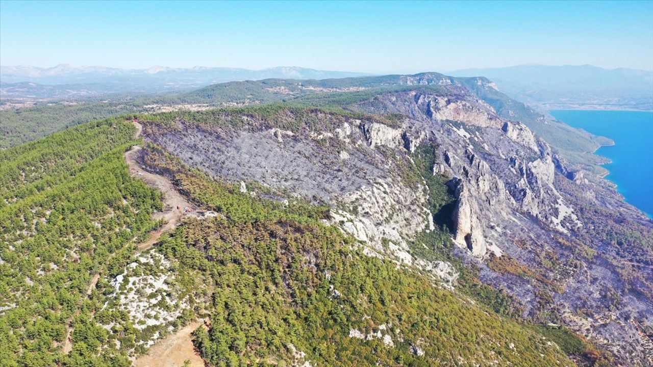 Menteşe'de Yangınla Mücadele: 6 Kilometrelik Yangın Şeridi Açıldı