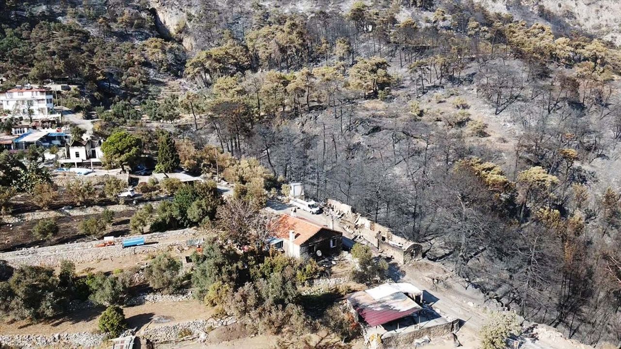 Menteşe'deki Orman Yangını Havadadan Görüntülendi