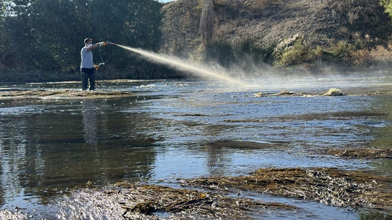 Nevşehir'de Kızılırmak Havzasında Sinek İlaçlaması