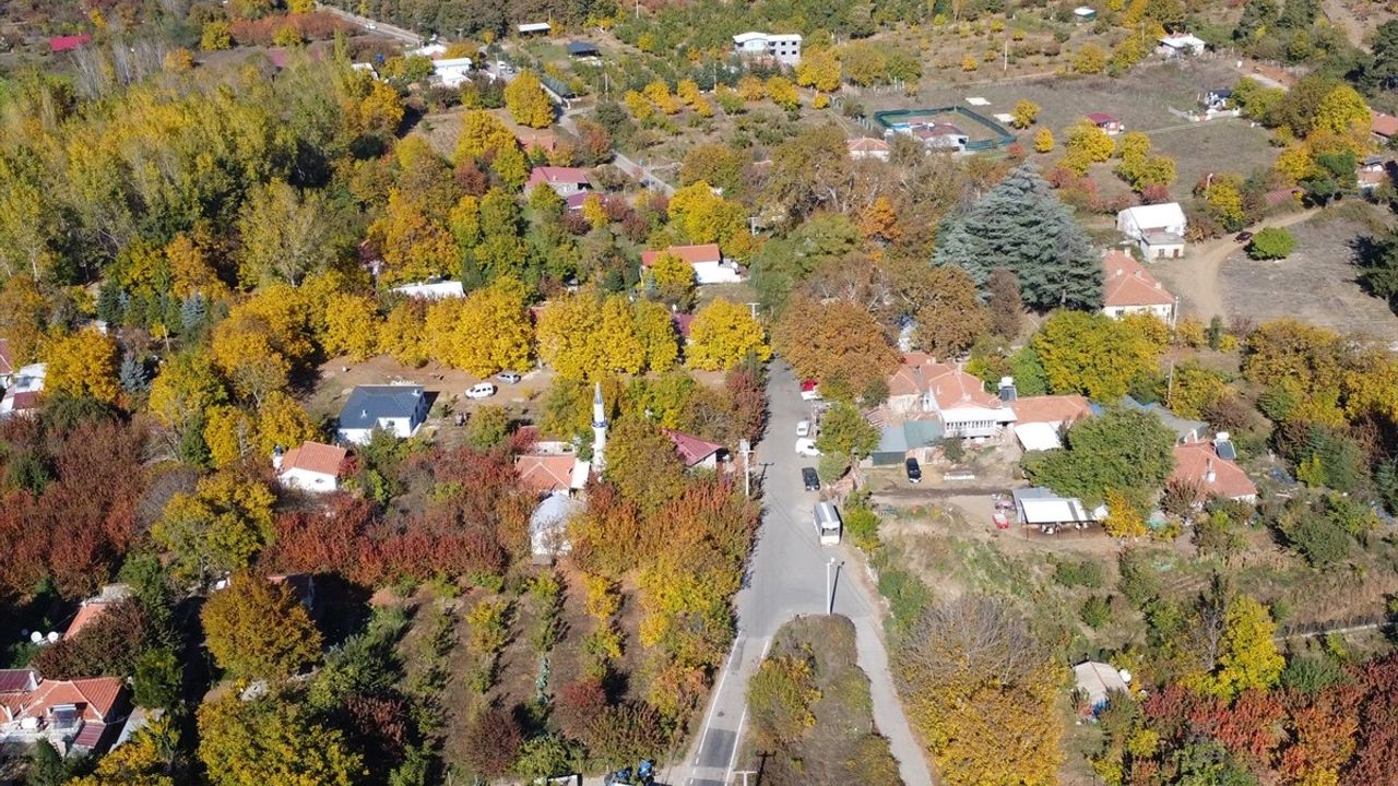 Ovacık Yaylası'nda Sonbahar Güzellikleri