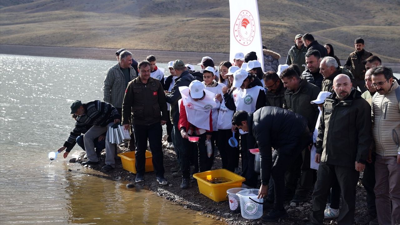 Sivas'ta Eğrisu Göleti'ne 10 Bin Kırmızı Benekli Alabalık Salındı