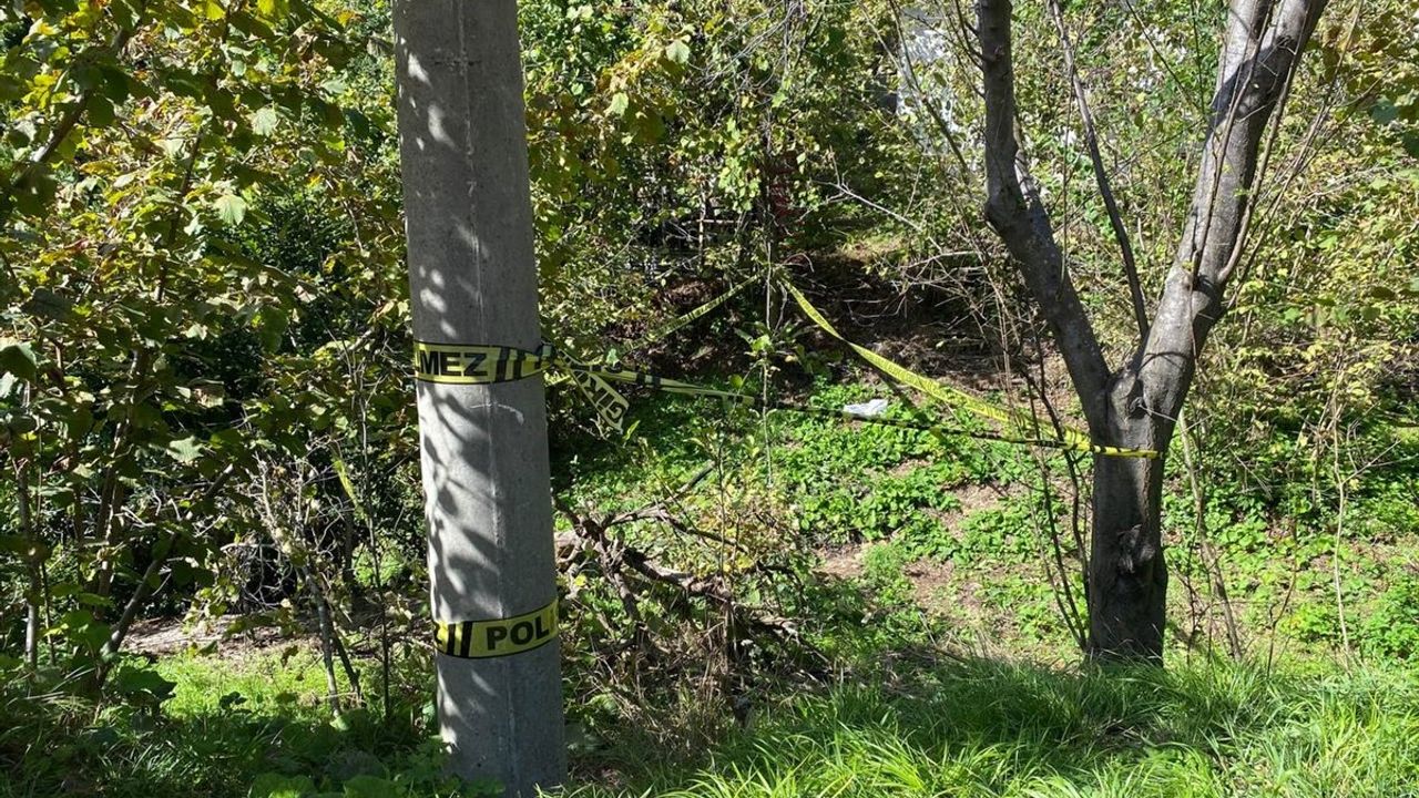 Zonguldak'ta Domuz Zannedilerek Vurulan Kadın Hayatını Kaybetti