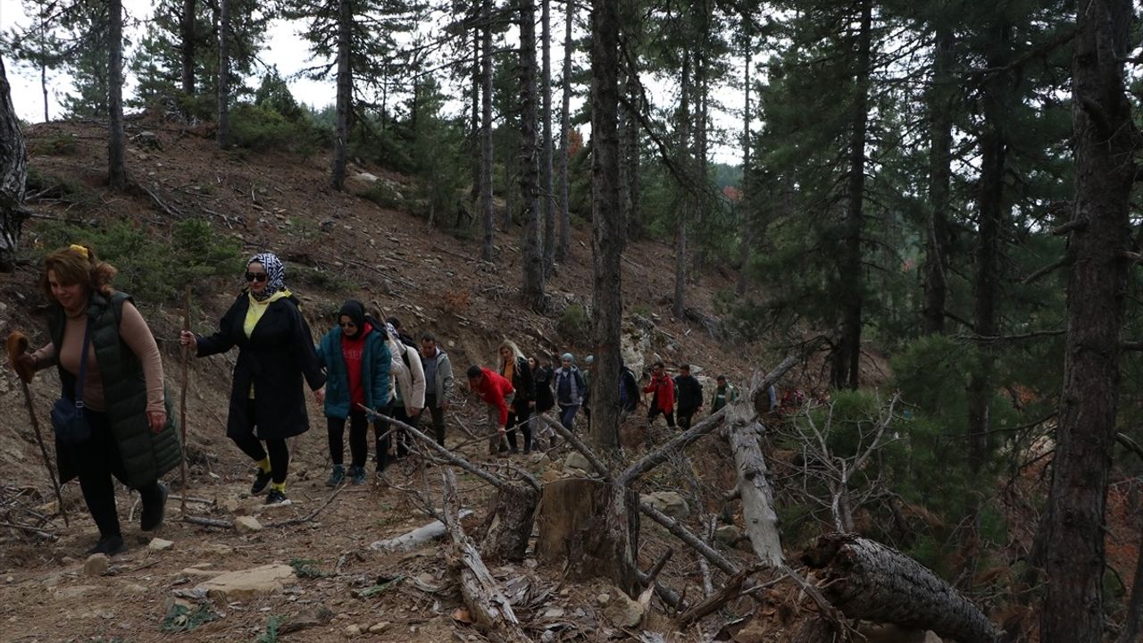 Andırın'da Sonbahar Güzellikleri: Kayın Ormanları Ziyaretçilerini Bekliyor