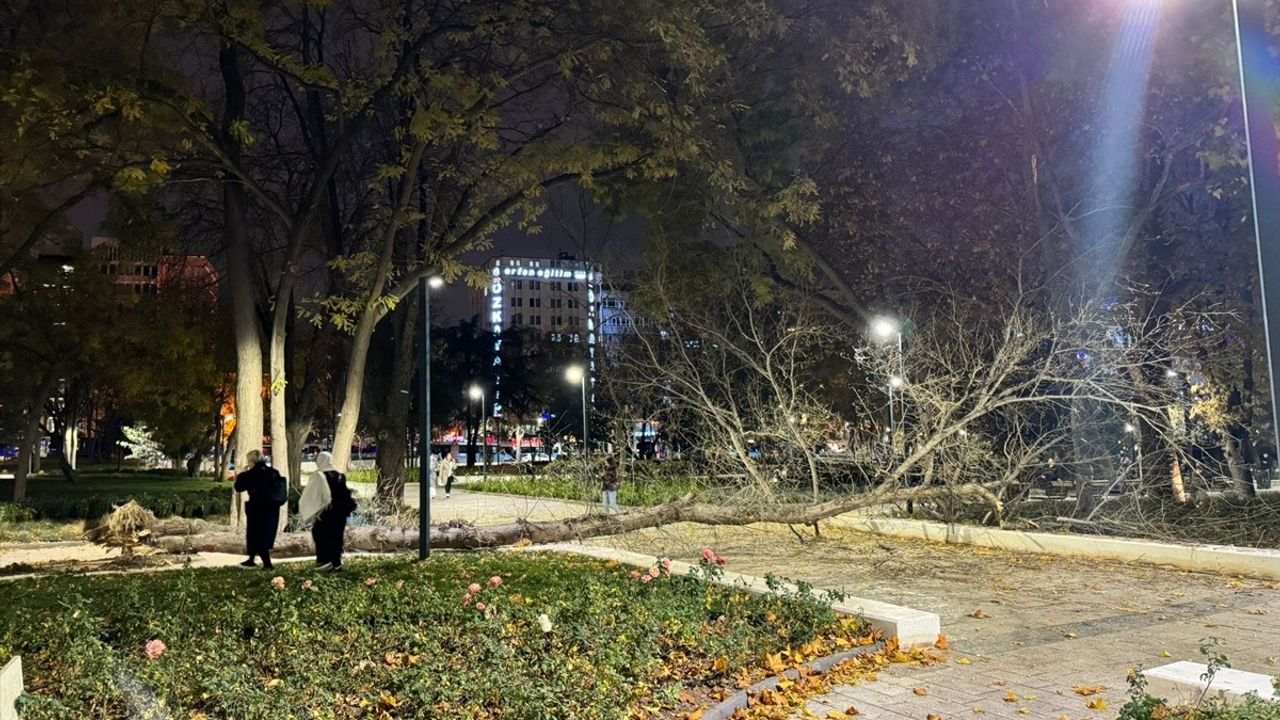 Ankara'da Rüzgar Ağaç Devirdi