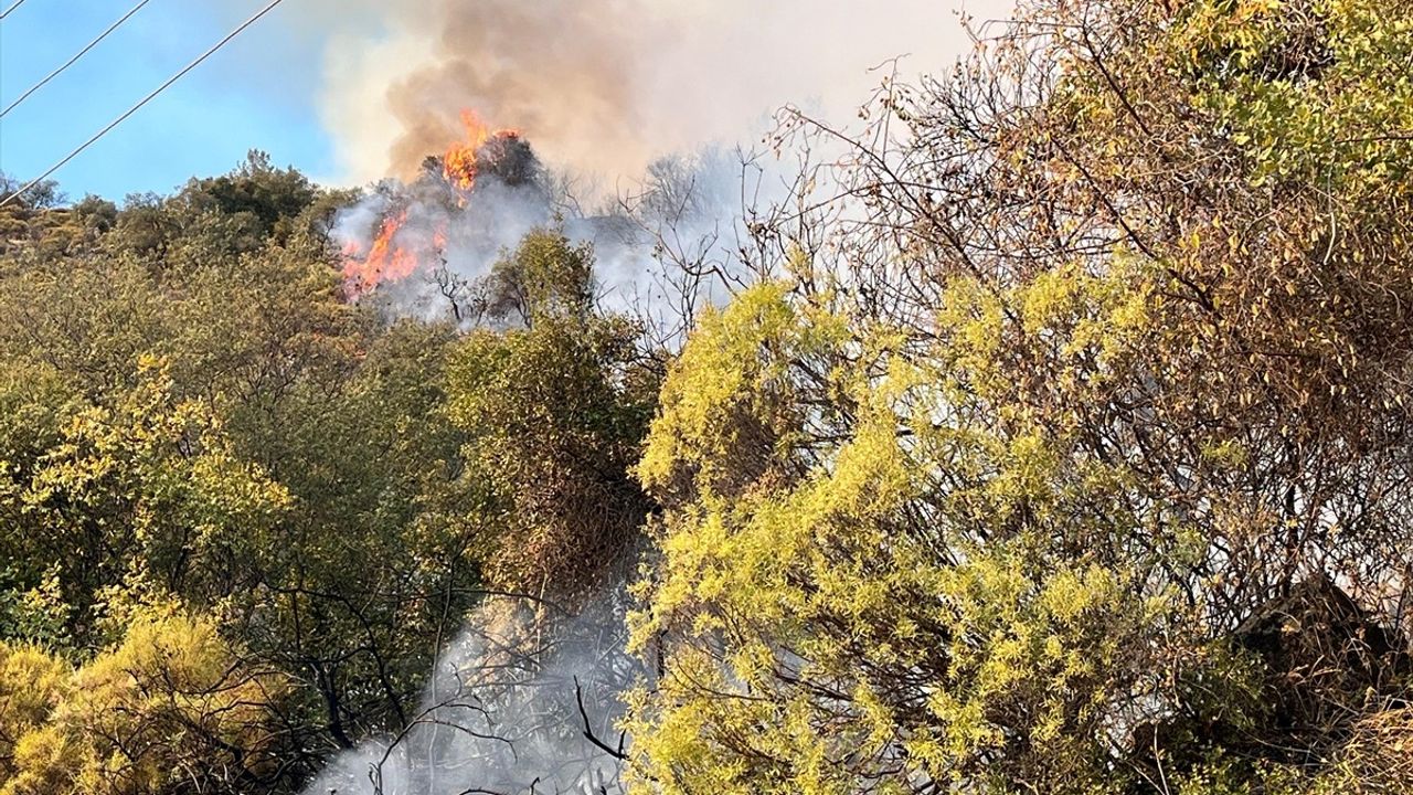 Antalya'da Orman Yangınına Müdahale Devam Ediyor