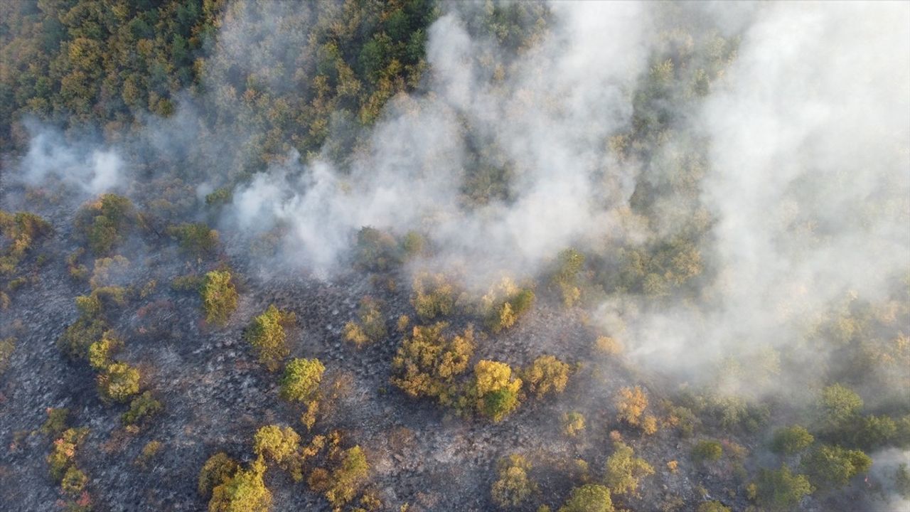 Bilecik'te Orman Yangınına Müdahale Başlatıldı