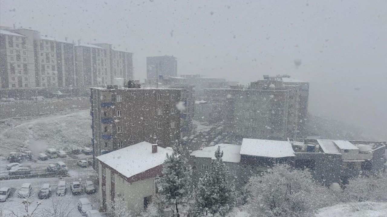 Bingöl ve Şırnak'ta Kar Yağışı Nedeniyle Ulaşım Sorunları