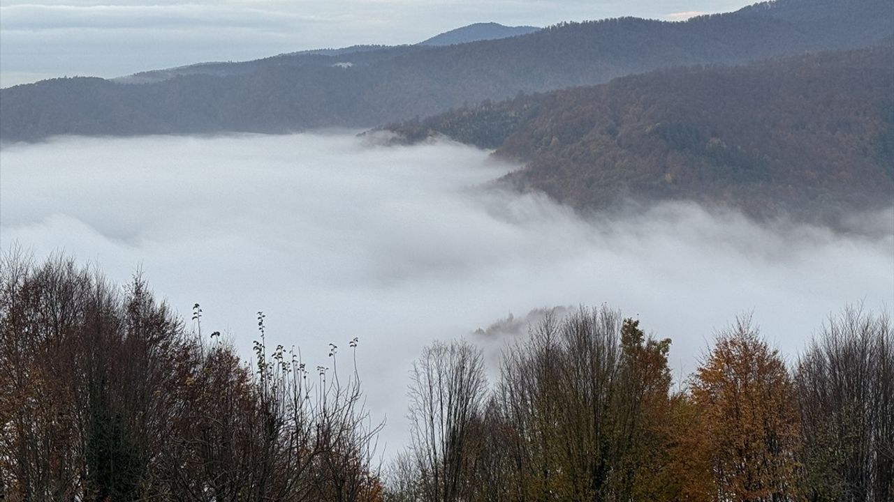 Bolu Dağı'ndan Eşsiz Manzaralar: Sürücüler İçin Terapi Gibi Molalar