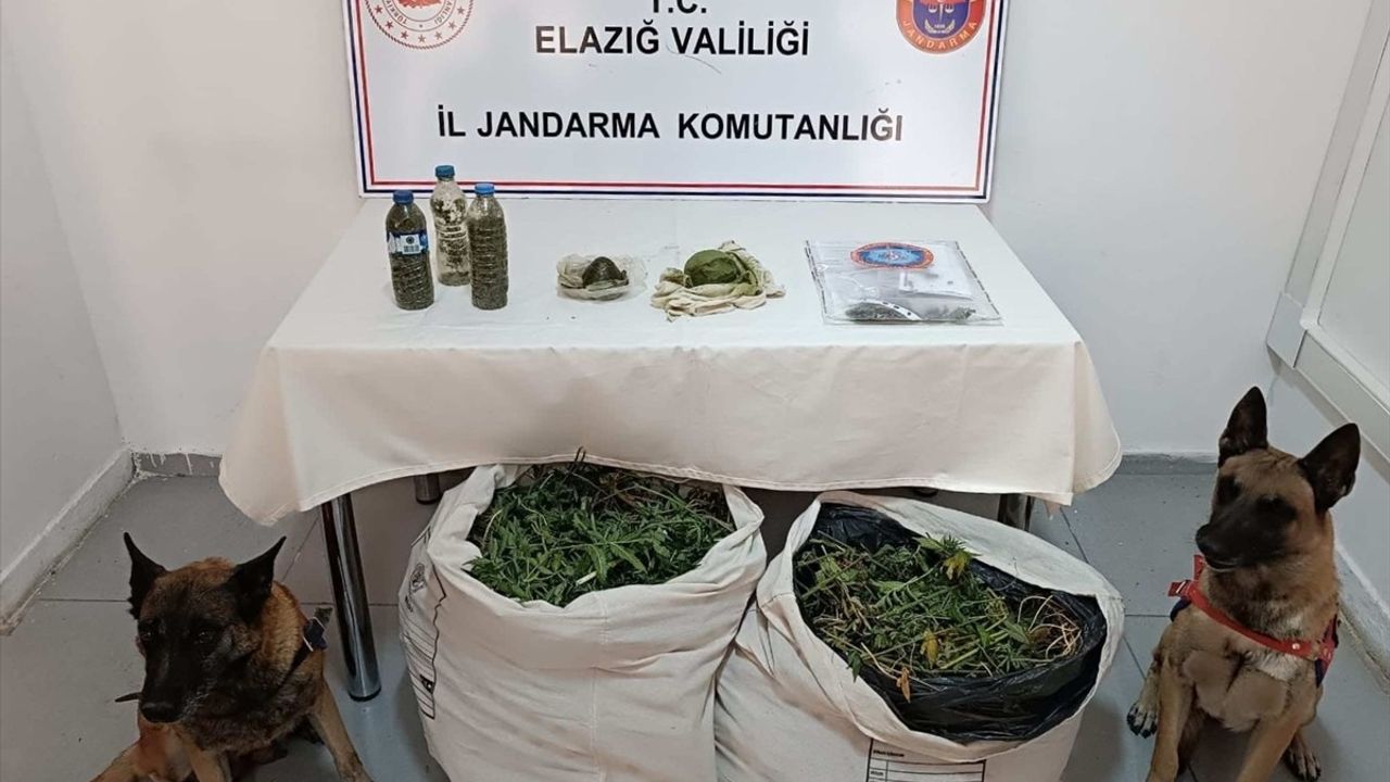 Diyarbakır'da Uyuşturucu Operasyonu: 11 Kilo 200 Gram Esrar Ele Geçirildi