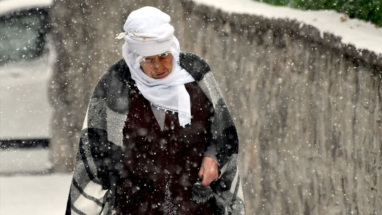 Doğu Anadolu Bölgesi Dondurucu Soğuklarla Mücadele Ediyor