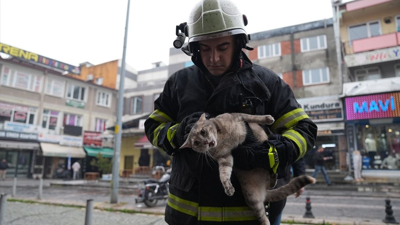 Düzce'de İtfaiye Kedileri Kurtardı