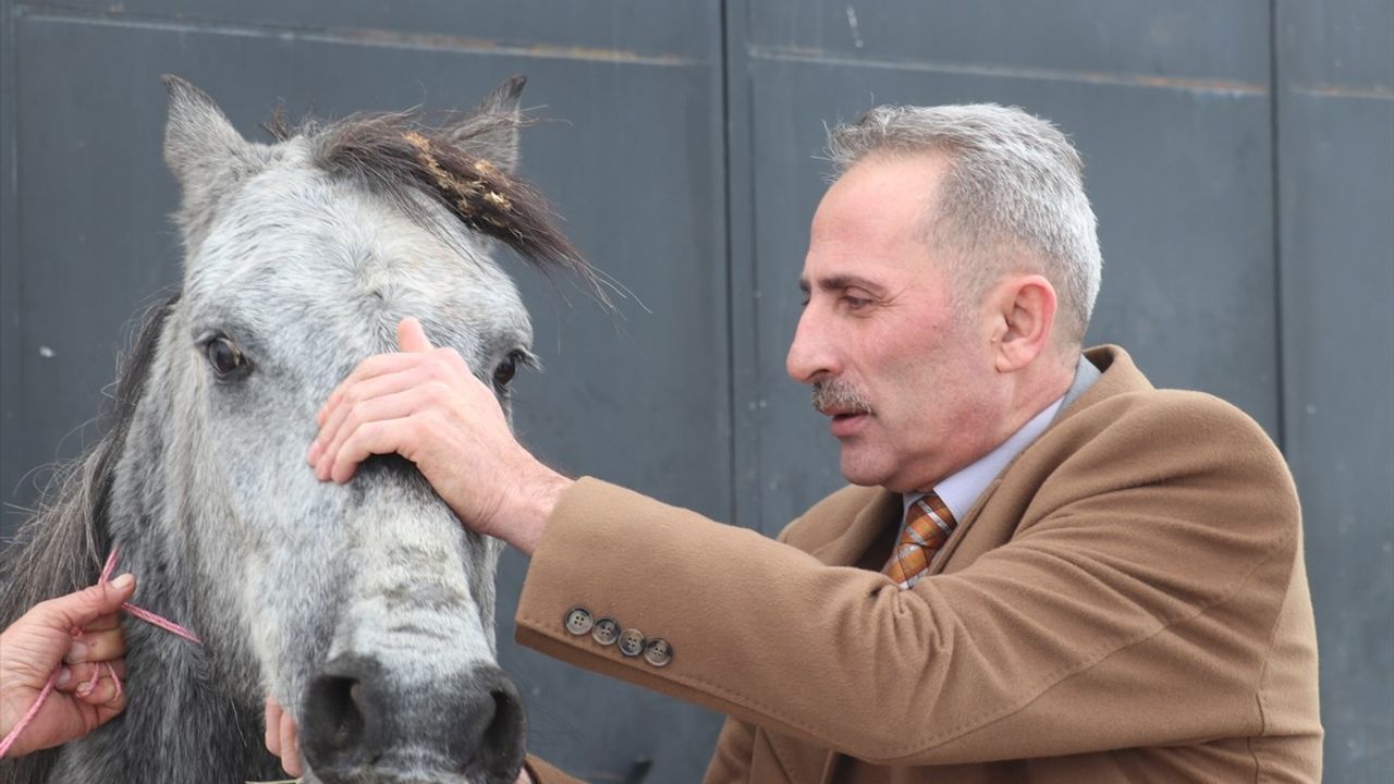 Erzurum'da Donan Atın Durumu Açıklandı