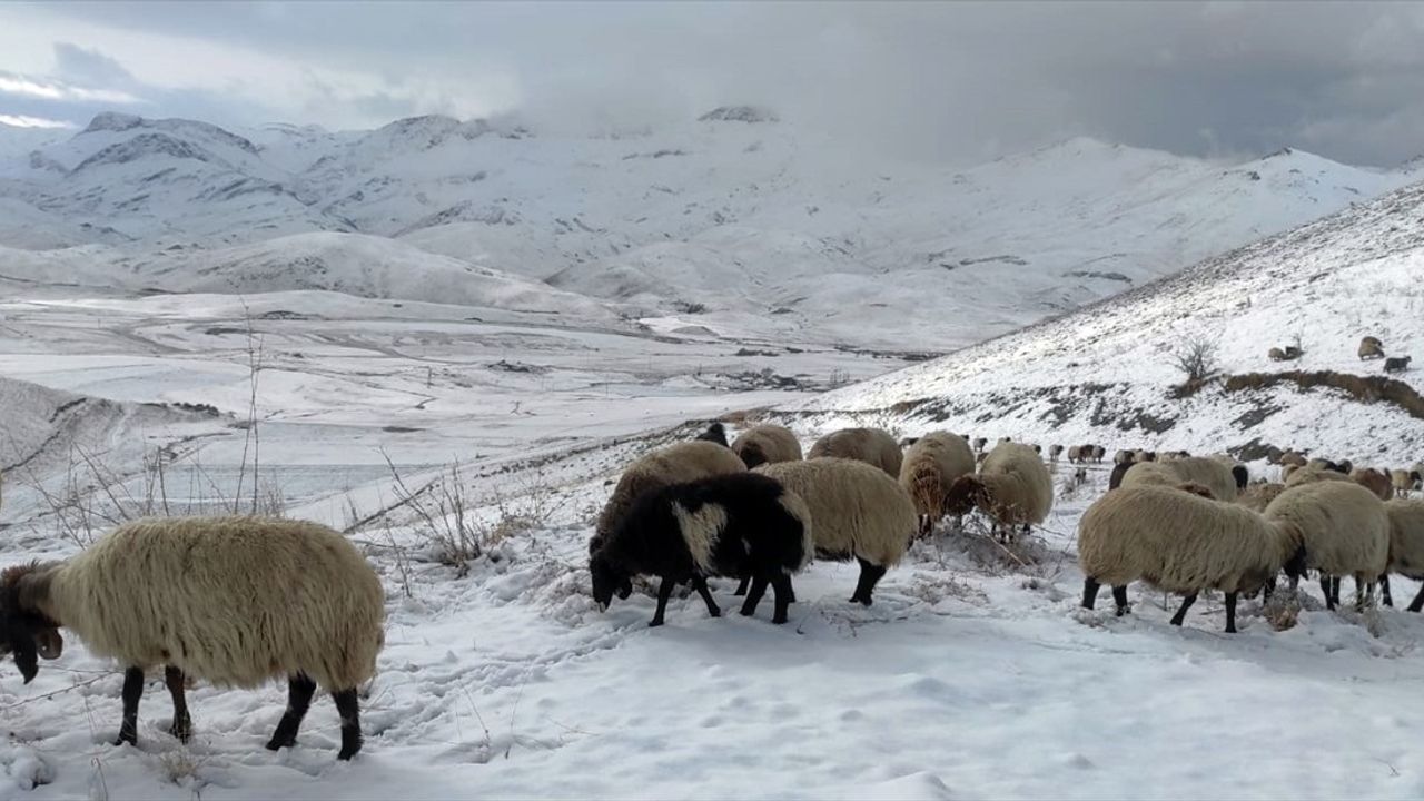 Faraşin Yaylası'nda Kar Yağışı Başladı