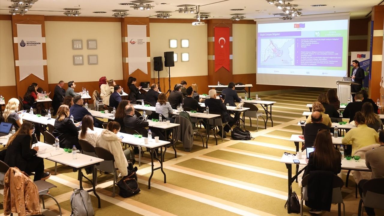 İstanbul'da Medya ve İletişim ile Şehir Dönüşümü Programı