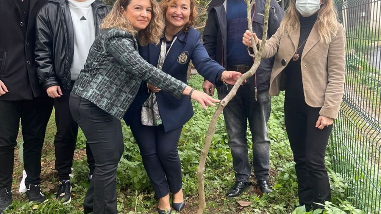 İstanbul Üniversitesi-Cerrahpaşa'dan Ağaçlandırma Etkinliği