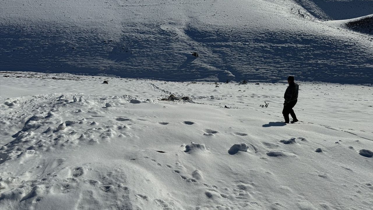 Karaman'da Koyun Telefi ve Cesur Çobanlar