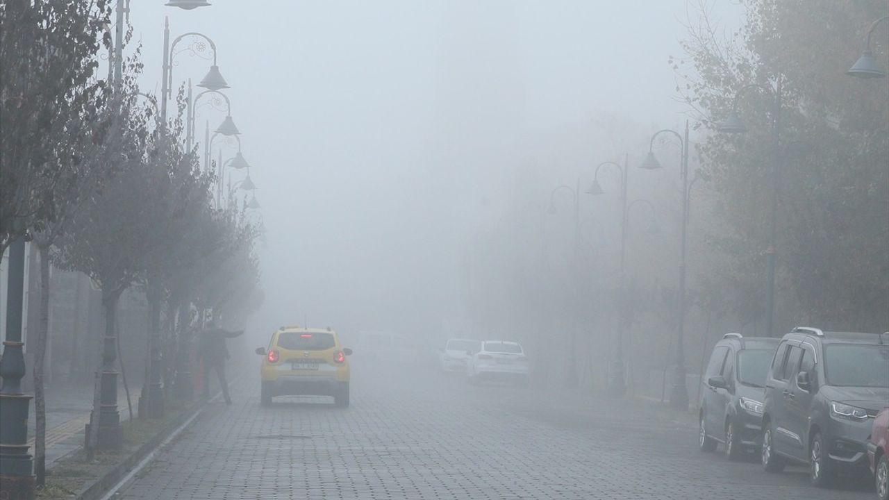 Kars'ta Yoğun Sis ve Soğuk Hava Olumsuz Etkiler Yarattı