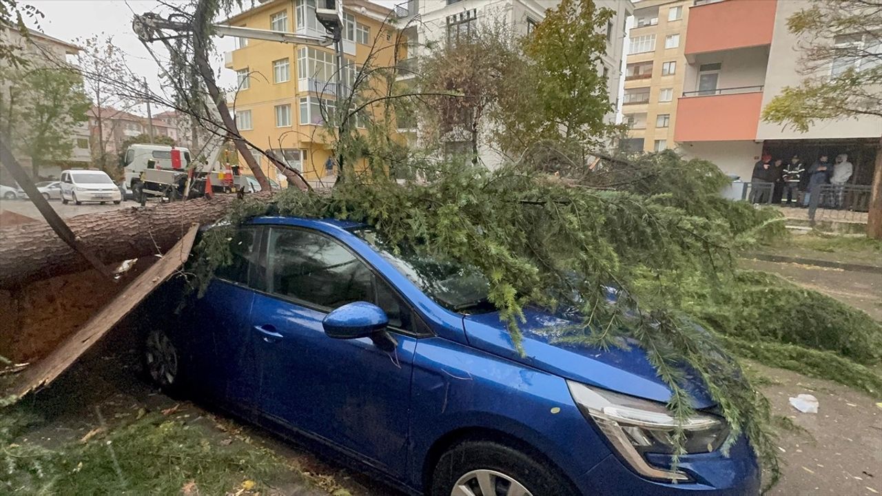 Kartal'da Fırtına Sonrası Ağaç Devrildi