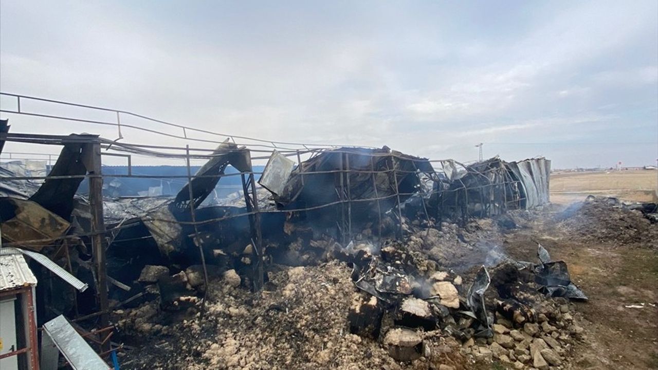 Kayseri'deki Mantar Üretim Tesisi Yangını Kontrol Altında