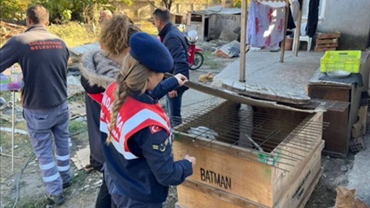 Kırklareli'nde Yasaklı Irk Köpek Besleyenlere Cezalar Kesildi