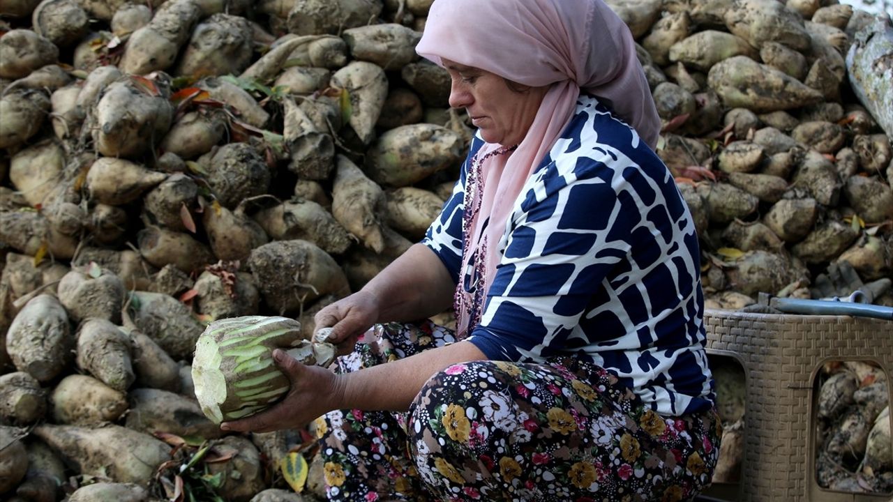 Kırklareli'nin Geleneksel Pancar Pekmezi