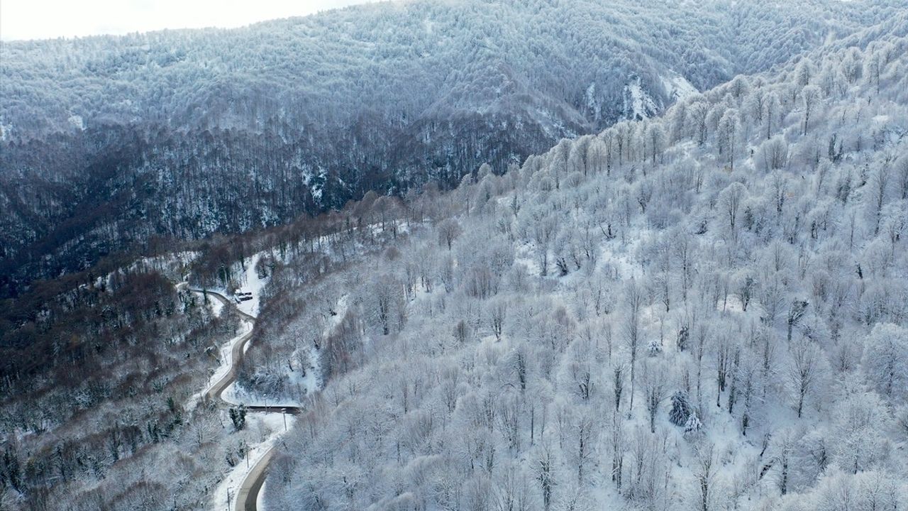 Kocaeli'nin Samanlı Dağları ve Bolu'nun Göynük'ü Karla Kaplandı