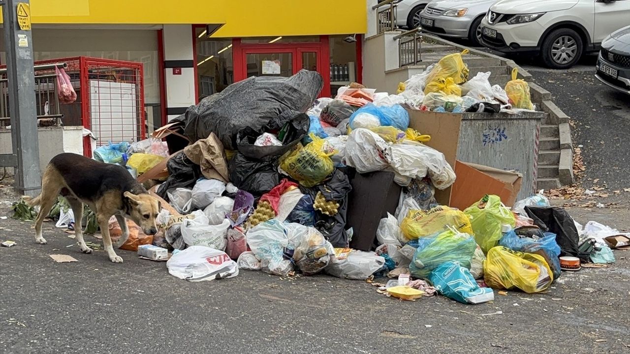 Maltepe Belediyesi ile Genel-İş Arasında Anlaşma Sağlandı