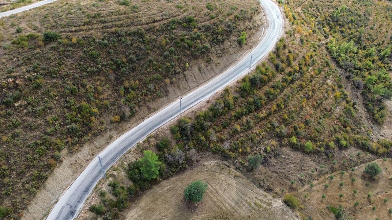 Manavgat Orman Yangınından Sonra Yeniden Hayat Buldu