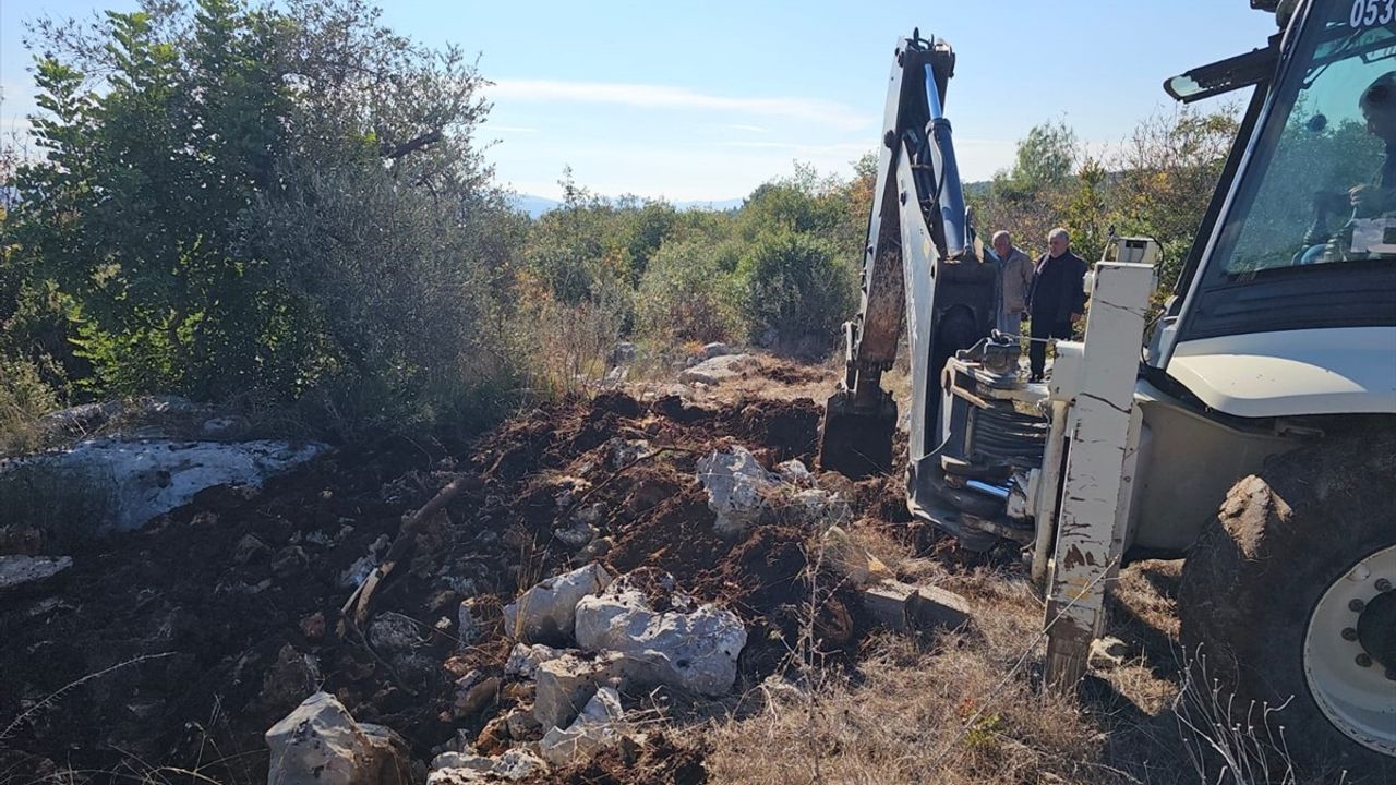 Mersin'de Yem Tedarik Sorunu Tavukları Telef Etti