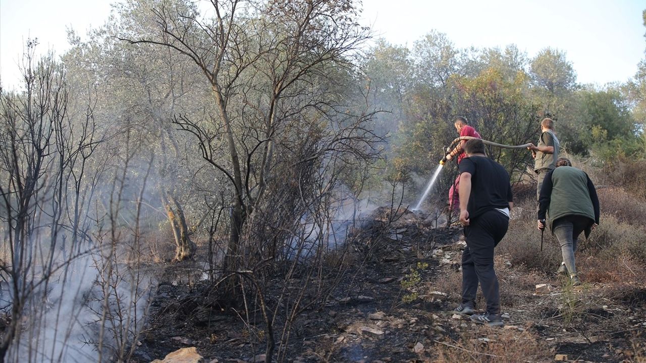 Muğla'da Orman Yangınına Havadan ve Karadan Müdahale