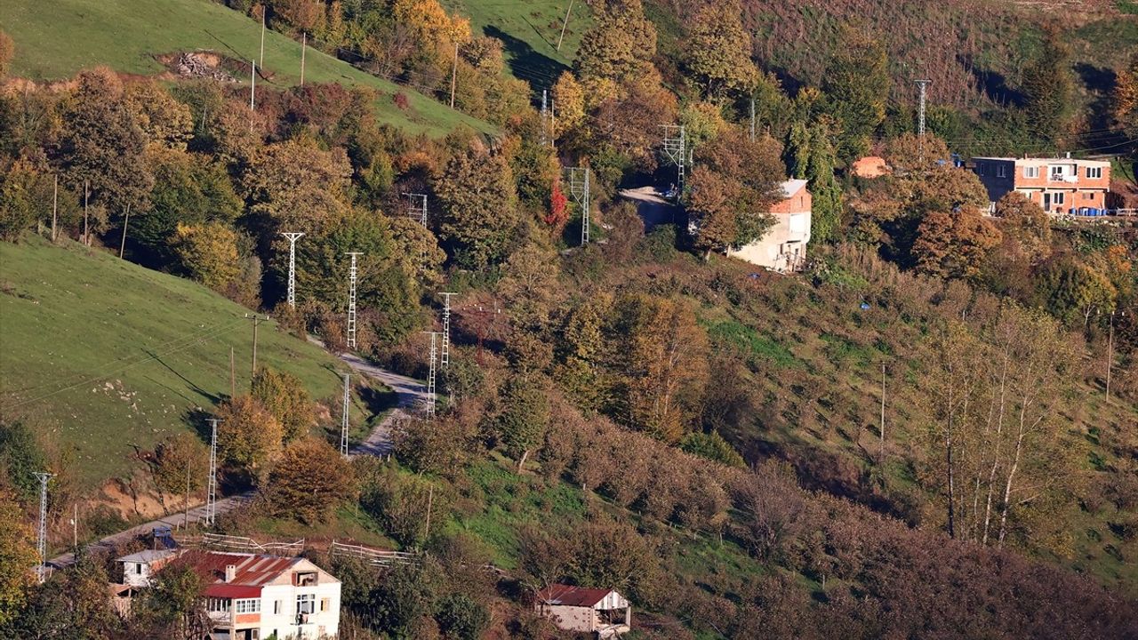 Nebiyan Dağı'nda Sonbahar Güzelliği