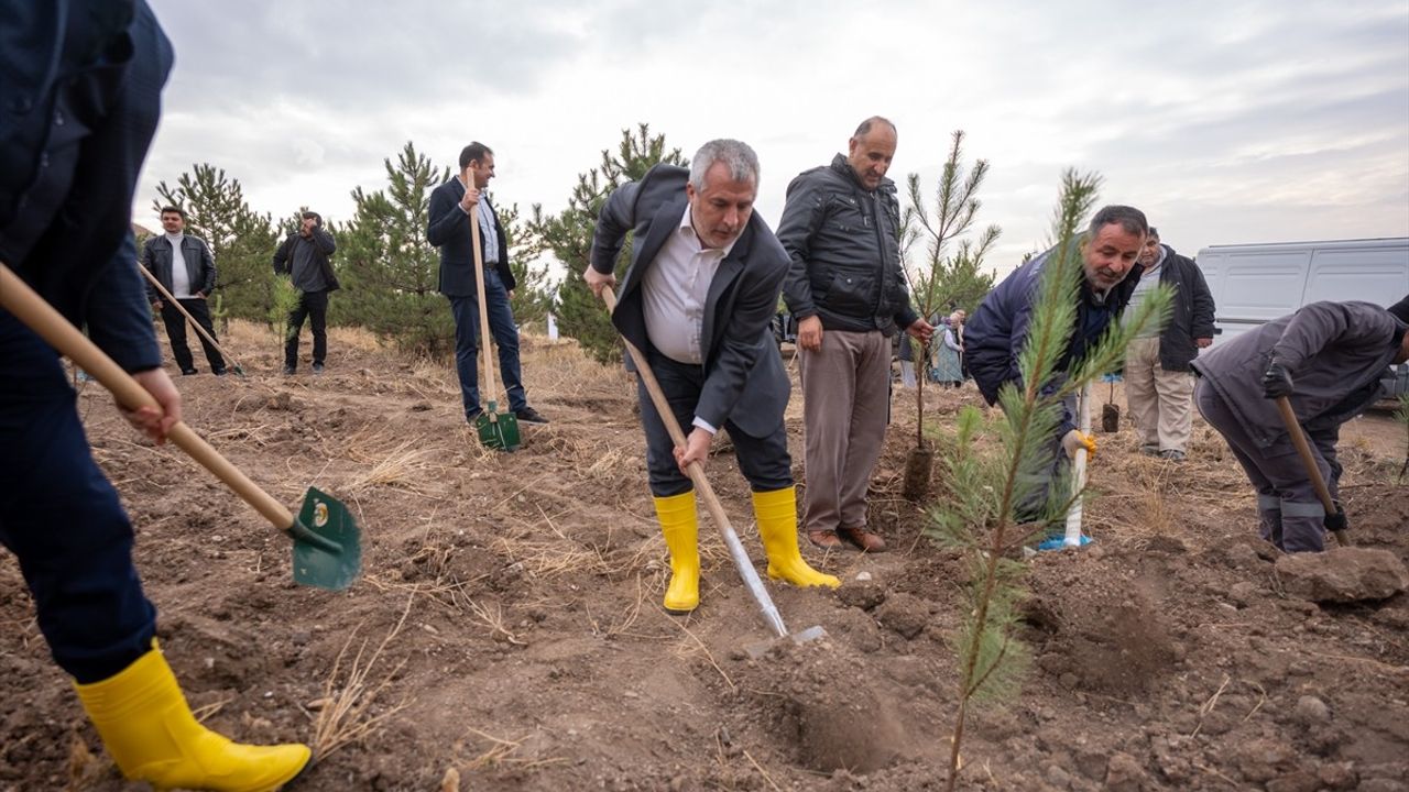 ÖSYM, 50. Yılında Hatıra Ormanı Oluşturdu