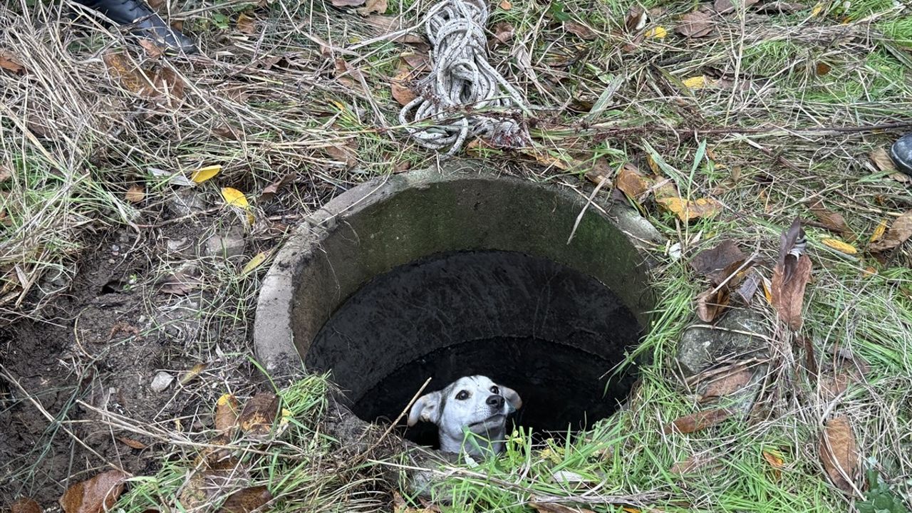 Sakarya'da Kuyuya Düşen Köpek İtfaiye Tarafından Kurtarıldı