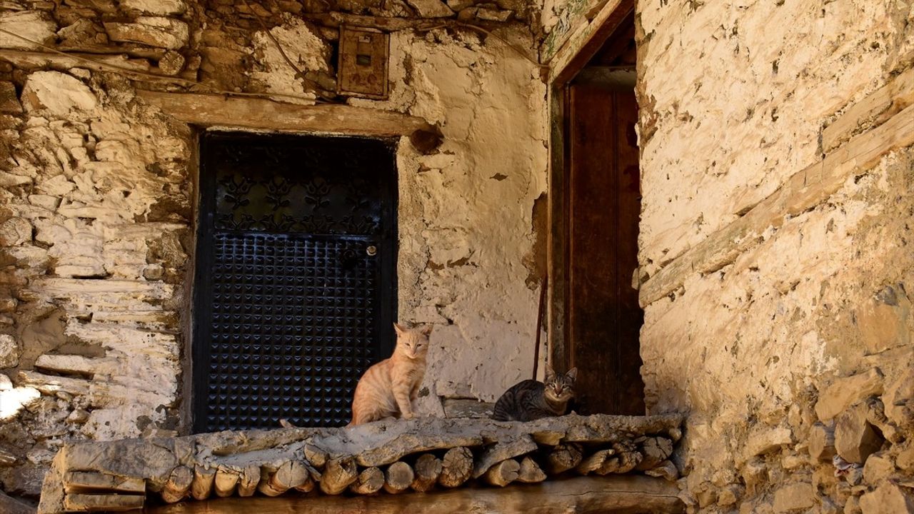 Sonbaharın Göz Bebeği: Bitlis'in Uzuntaş Köyü