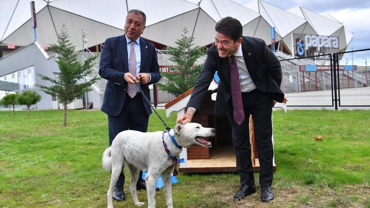 Trabzonspor, Fenerbahçe Maçı Öncesi Sahaya Giren Köpeği Sahiplendi