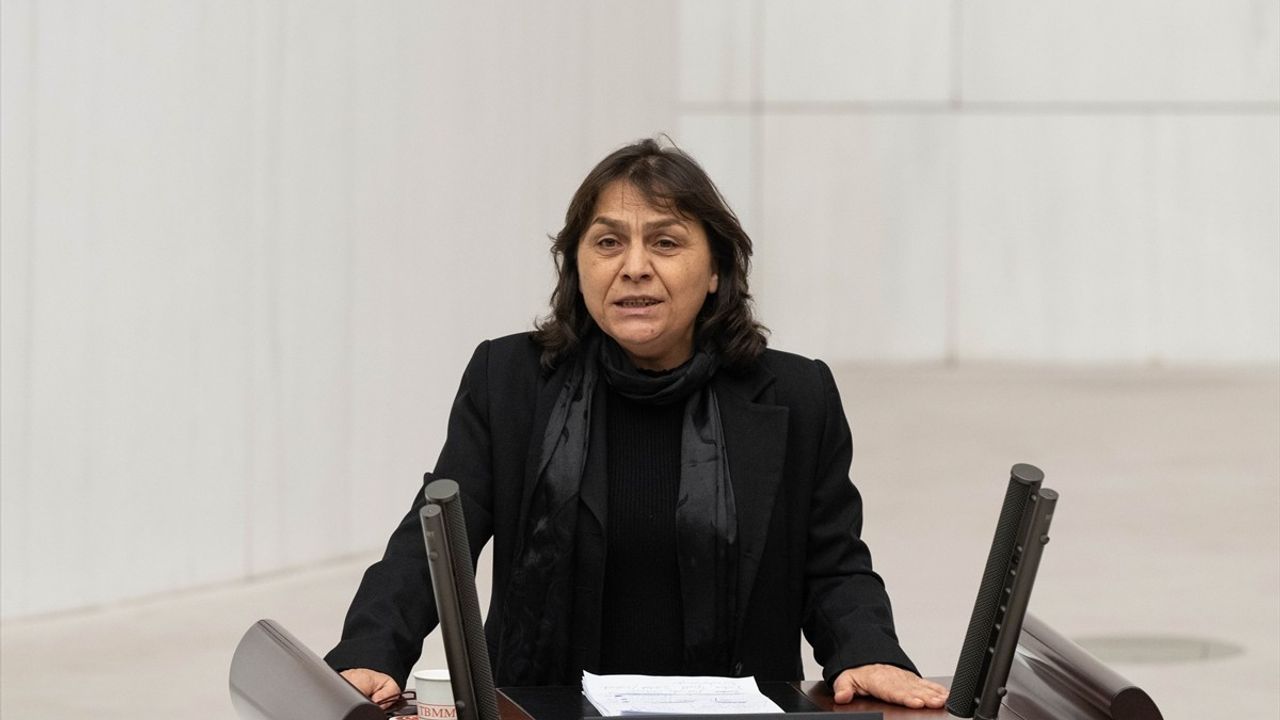 2025 Yılı Bütçesi Üzerine Kadınlar ve Sosyal Hizmetlere Yönelik Eleştiriler