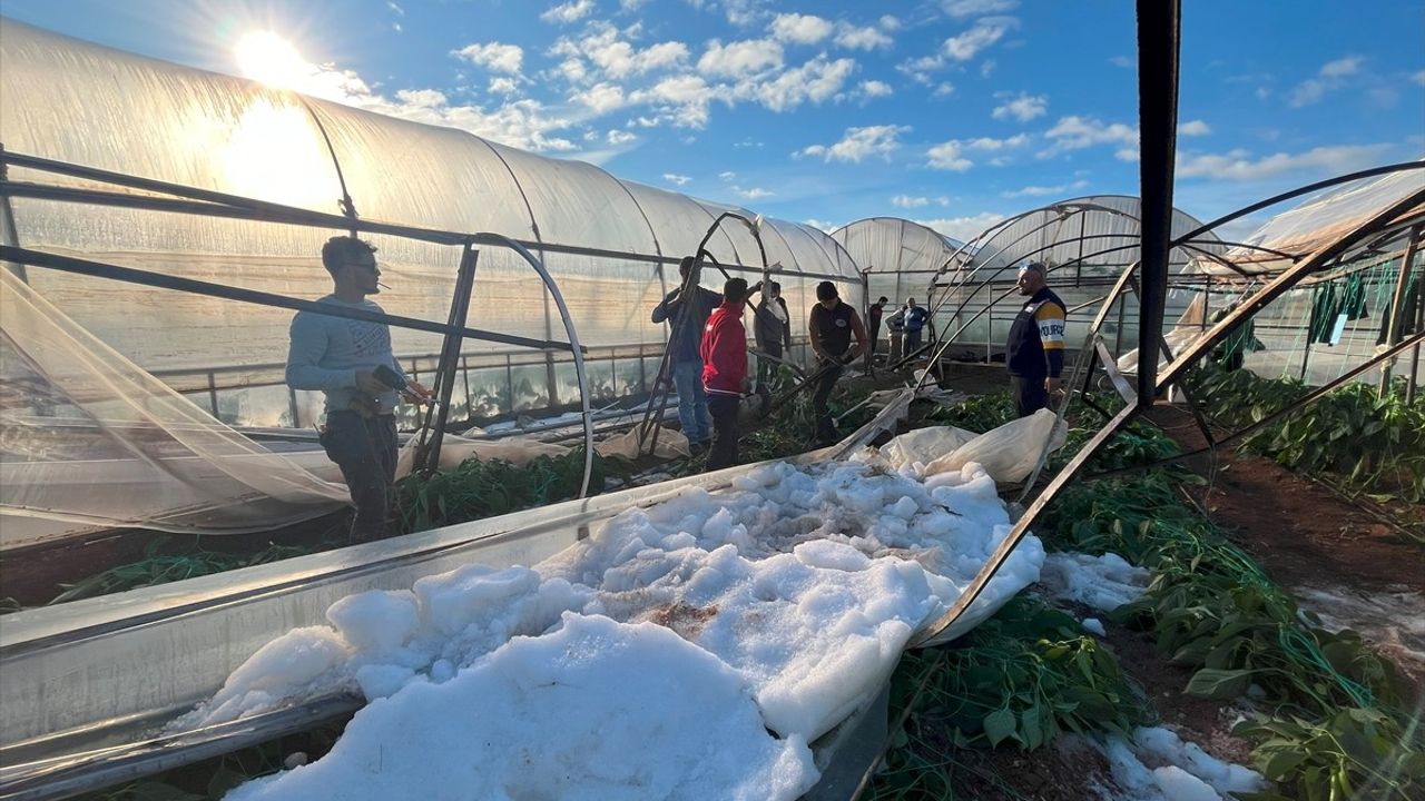 Antalya'da Dolu ve Sağanak Seralara Zarar Verdi