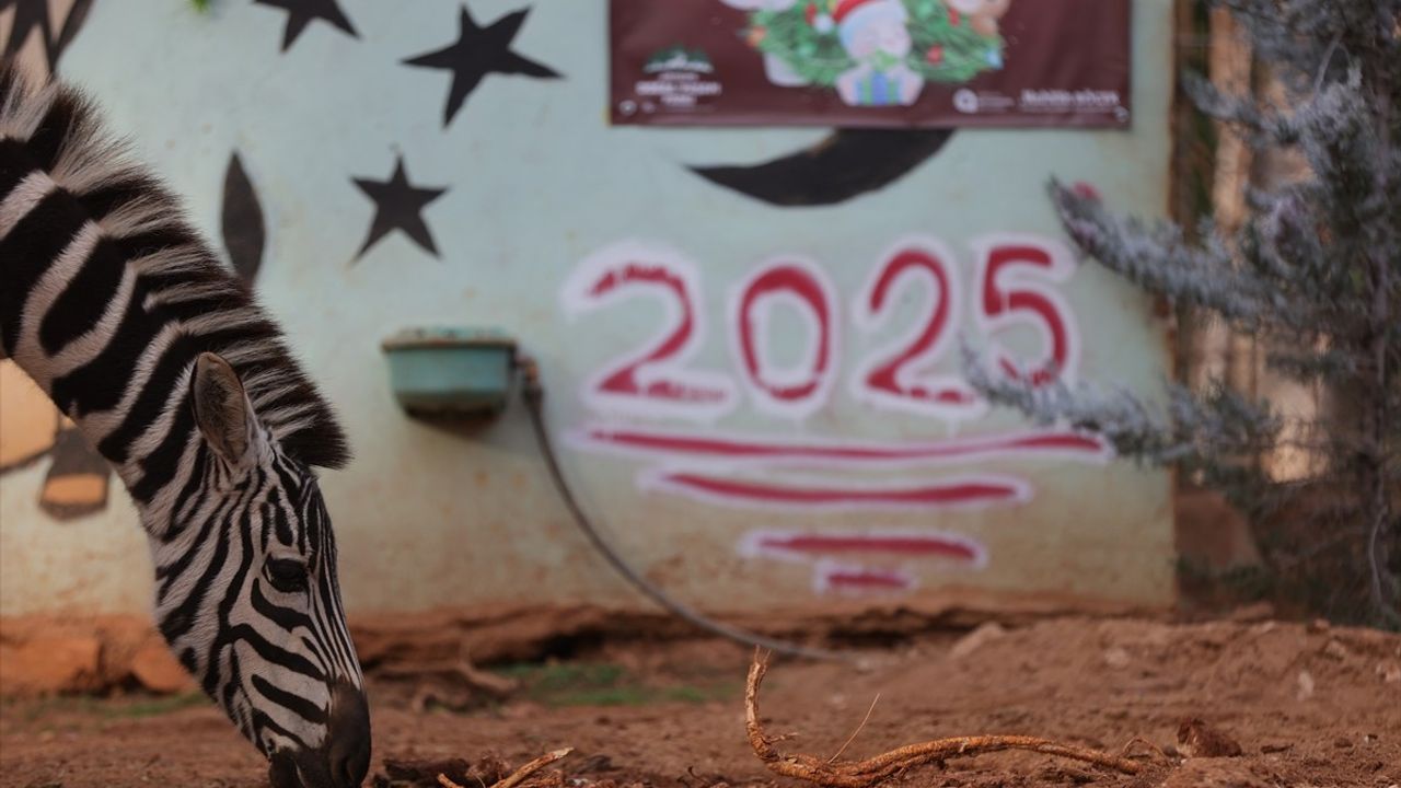 Antalya Doğal Yaşam Parkı'nda Yeni Yıl Coşkusu