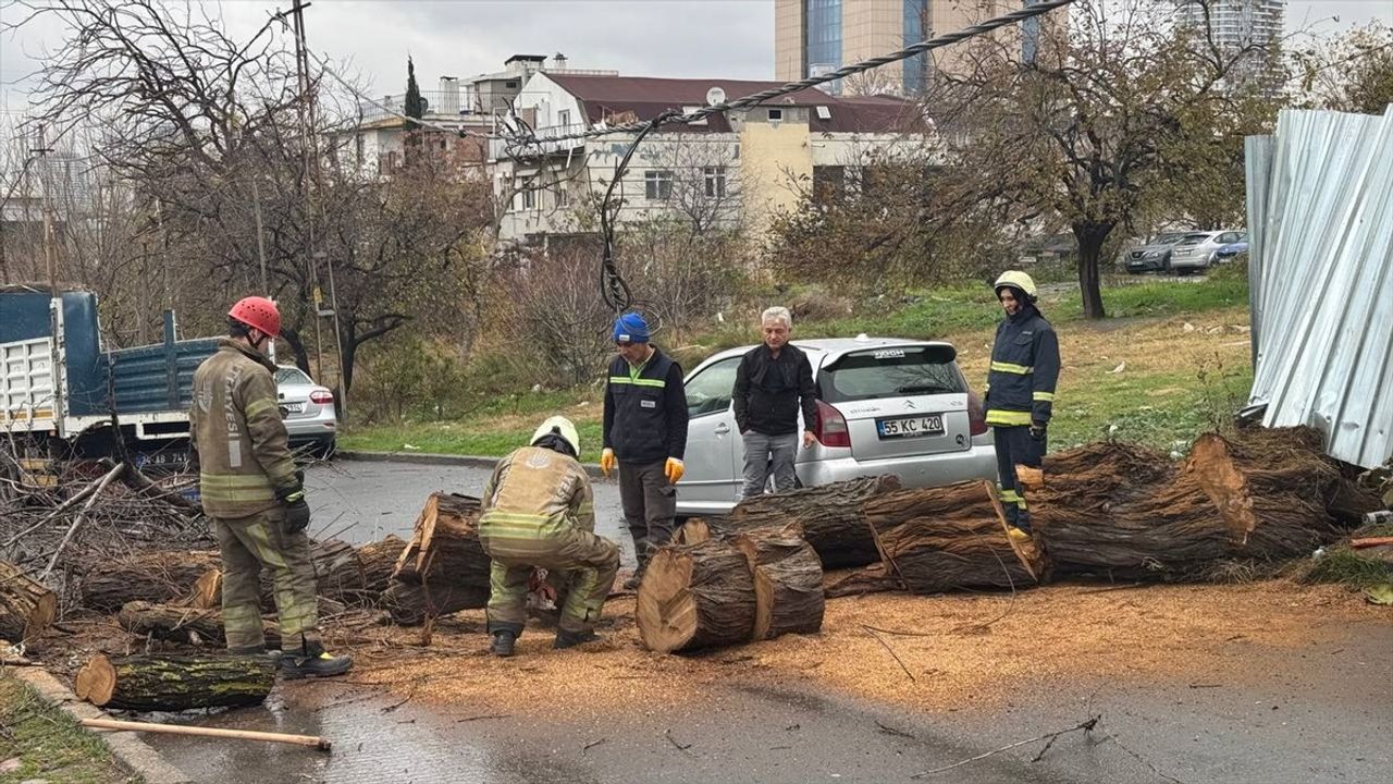 Avcılar'da Yola Devrilen Ağaç Temizlendi