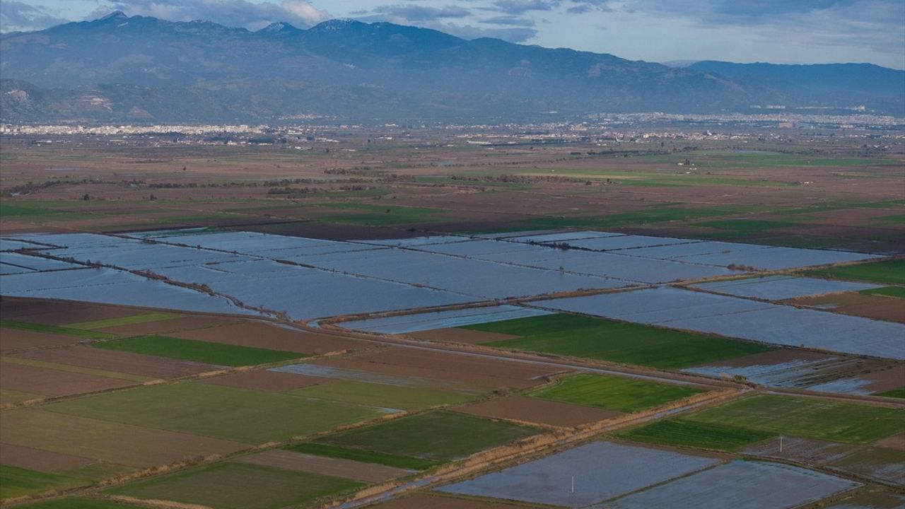 Büyük Menderes Nehri'nde Taşkınlar