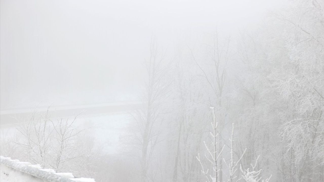 Demirköy'de Yoğun Sis Hayatı Olumsuz Etkiledi