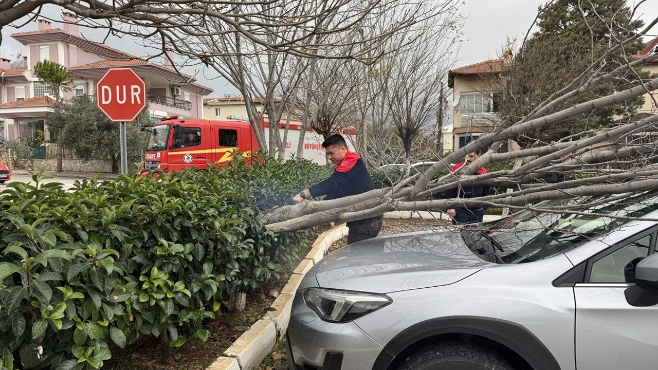 Denizli'de Fırtına Ağaçları Devirip Araçlara Zarar Verdi